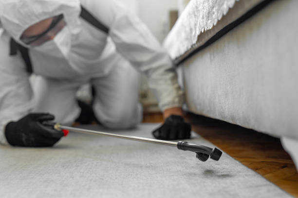 Professional Cockroach Control technician working in Pine Lawn, MO