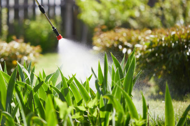 24/7 Emergency Cockroach Control experts in Pine Lawn, MO