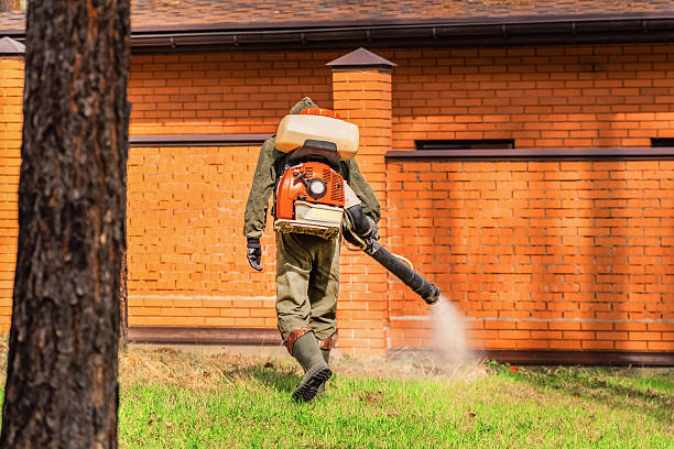 Top rated local Cockroach Control specialists in Pine Lawn, MO